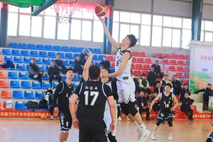  篮球爱好者如何通过总决赛视频提升技术：从观看中学习的策略与方法